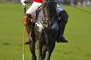 Polo player, Polo tournament, Berenberg High Goal Trophy 2007