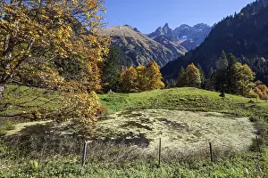 Pond and autumn forest, near Buchrainer-Alpe