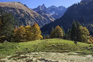 Pond and autumn forest, near Buchrainer-Alpe