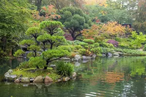 Pond in japanese garden of Kaiserslautern