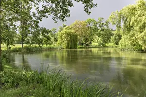Pond in Luderbach, Ringgau