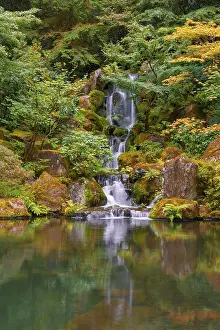 Pond with waterfall, Japanese garden