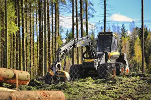 Ponsse Ergo forest harvester on logging site in autumnal coniferous forest