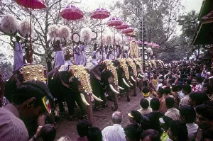 Pooram Festival in Thrissur Trichur