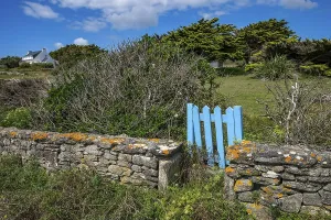 Pors Poulhan, Brittany, France - Picturesque dry stone wall with blue garden gate on the GR36 coastal footpath