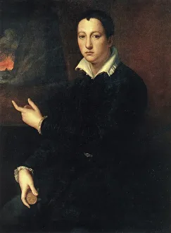 Portrait of a Boy, painting by Agnolo Bronzino