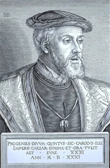 Portrait of Emperor Charles V at the age of 31