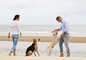 Portrait of a happy couple with dogs at the beach