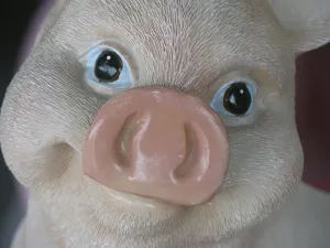 Portrait of a plastic pig