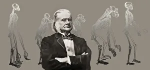 Portrait of Thomas Henry Huxley