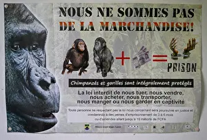 Poster against wildlife trafficking in a ranger station