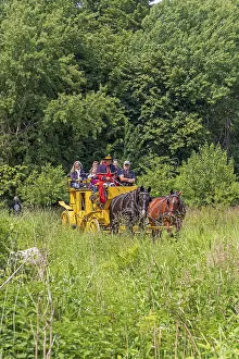 Postillion, passengers, stagecoach travelling through meadows