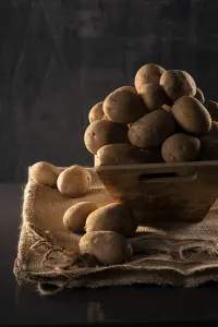 Potatoes in a wooden bowl, still life