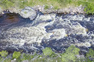 Poudre River and Canyon with high water and late spring scenery
