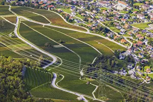 Power lines across vineyards and fields