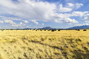 The prairie in Wupatki National Monument in Arizona with the San Francisco Mountains in the background