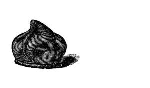 Praline, historical illustration from: Marie Adenfeller
