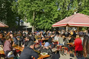 Prater beer garden, Kastanienallee