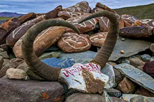 Praying stones on the Kailash Kora