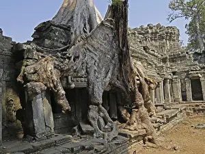 Preah Khan Temple, Siem Reap Province