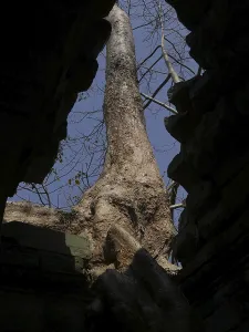 Preah Khan Temple, Siem Reap Province