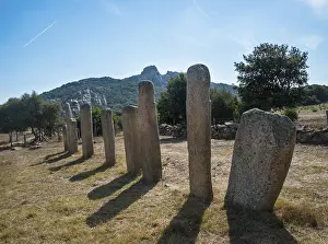 Prehistoric remains of Stantari