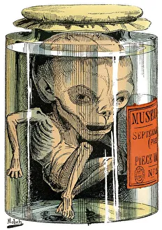 Presidential term in France, 1873