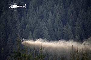 To prevent acidification of the forest floor