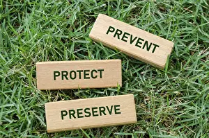 Prevent Preserve Protect text on wooden blocks