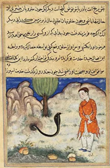 The prince, a son of the ruler of Sistan