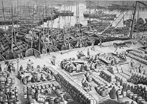 Processing of herrings in the harbour of Wick in Scotland in 1880