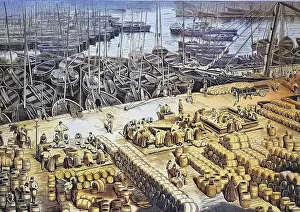 Processing of herrings in the harbour of Wick in Scotland in 1880