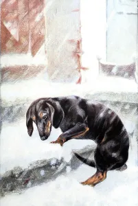 The Prodigal Son, dachshund in the snow