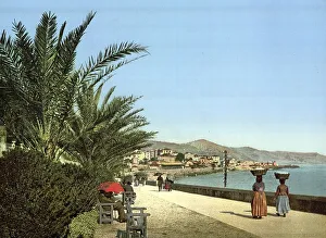 The Promenade by the Sea, San Remo