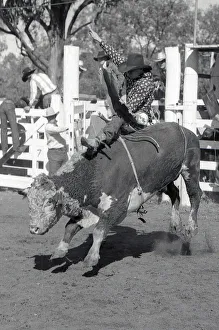 PROSTON, AUSTRALIA, CIRCA 1980: Unidentified contestant rides a bull during a small town rodeo