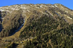 Protected forest around the houses of the hamlet of Chou on the flank of La Seya peak