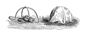Protective cover for plants, historical illustration