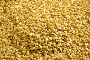 Pulses, split yellow lentils toor arhar dal lens culinaris