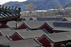 Puning buddhist temple, roofs, china