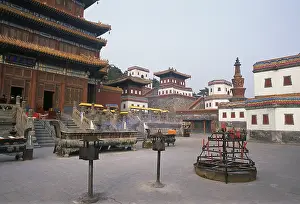 The Puning Temple (Chinese: 普宁寺)