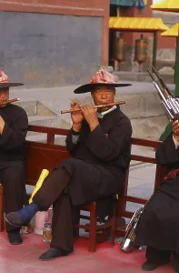 The Puning Temple (Chinese: 普宁寺)