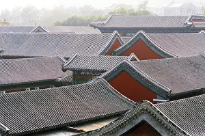 The Puning Temple (Chinese: 普宁寺)