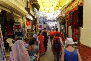 Pushkar Mela, Pushkar, Big camel and cattle market