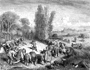 Be Puss in Boots, cat and peasants bowing in the field