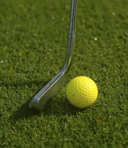 Putter and golf ball on the green