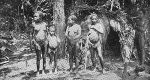 Pygmies, dwarf people in the jungle of Inner Cameroon
