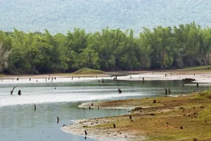 Pykara lake, Udhagamandalam Ooty