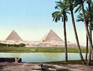 The pyramids, Cairo, Egypt, 1890