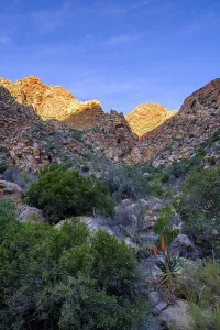 Quartzite rocks Swartberg Road