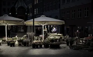 A quiet nighttime market scene with lantern-lit stalls selling plants